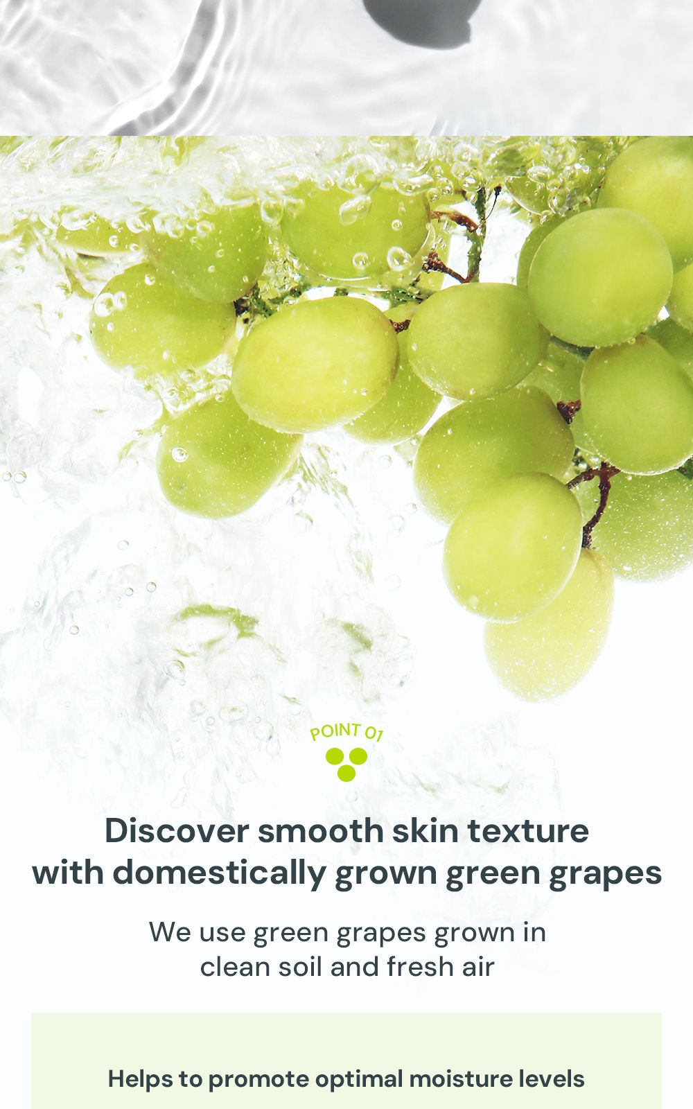 Grape Aqua Hyaluron Biome Cream details, part 4