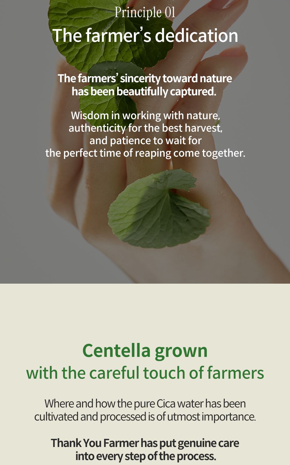 Phyto Relieful™ Cica Boosting Toner details, part 17