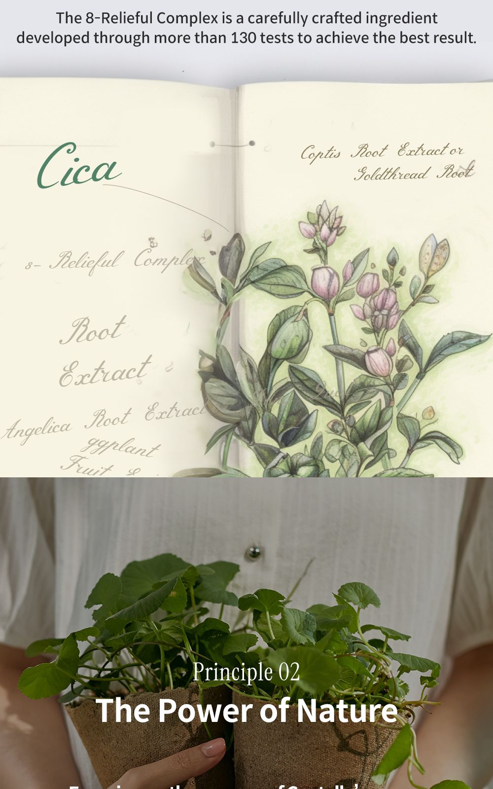 Phyto Relieful™ Cica Boosting Toner details, part 20