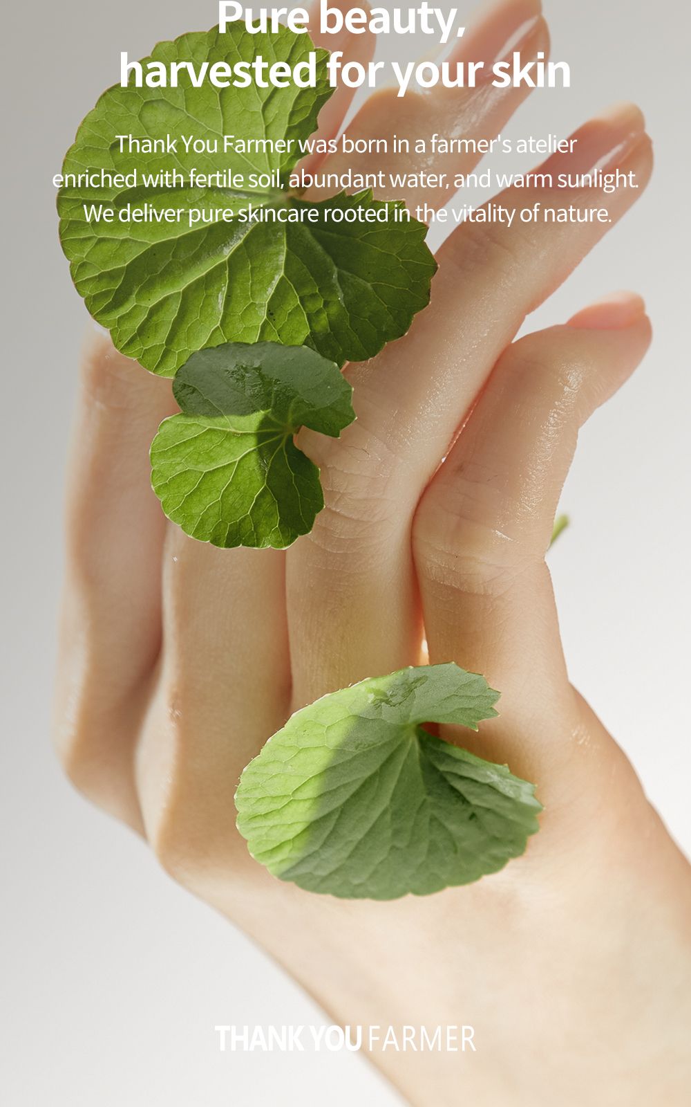Phyto Relieful™ Cica Boosting Toner details, part 25