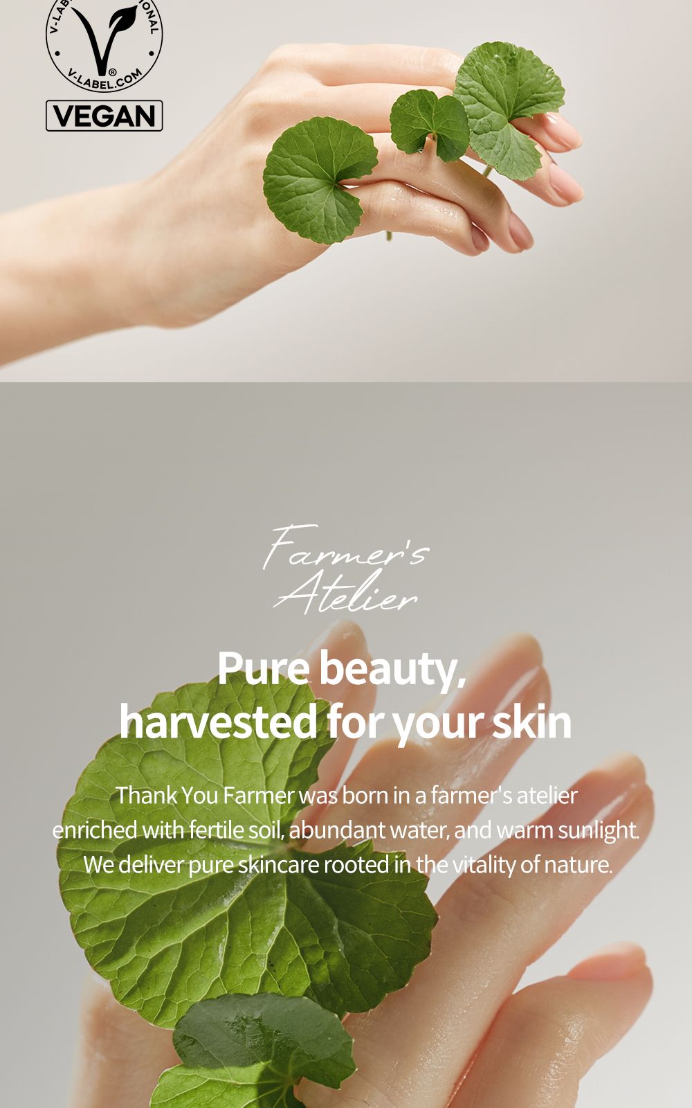 Phyto Relieful™ Cica Boosting Toner details, part 27