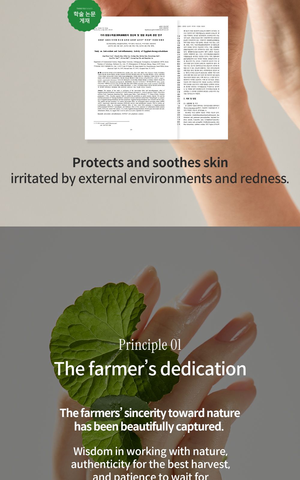 Phyto Relieful™ Cica Cream details, part 15