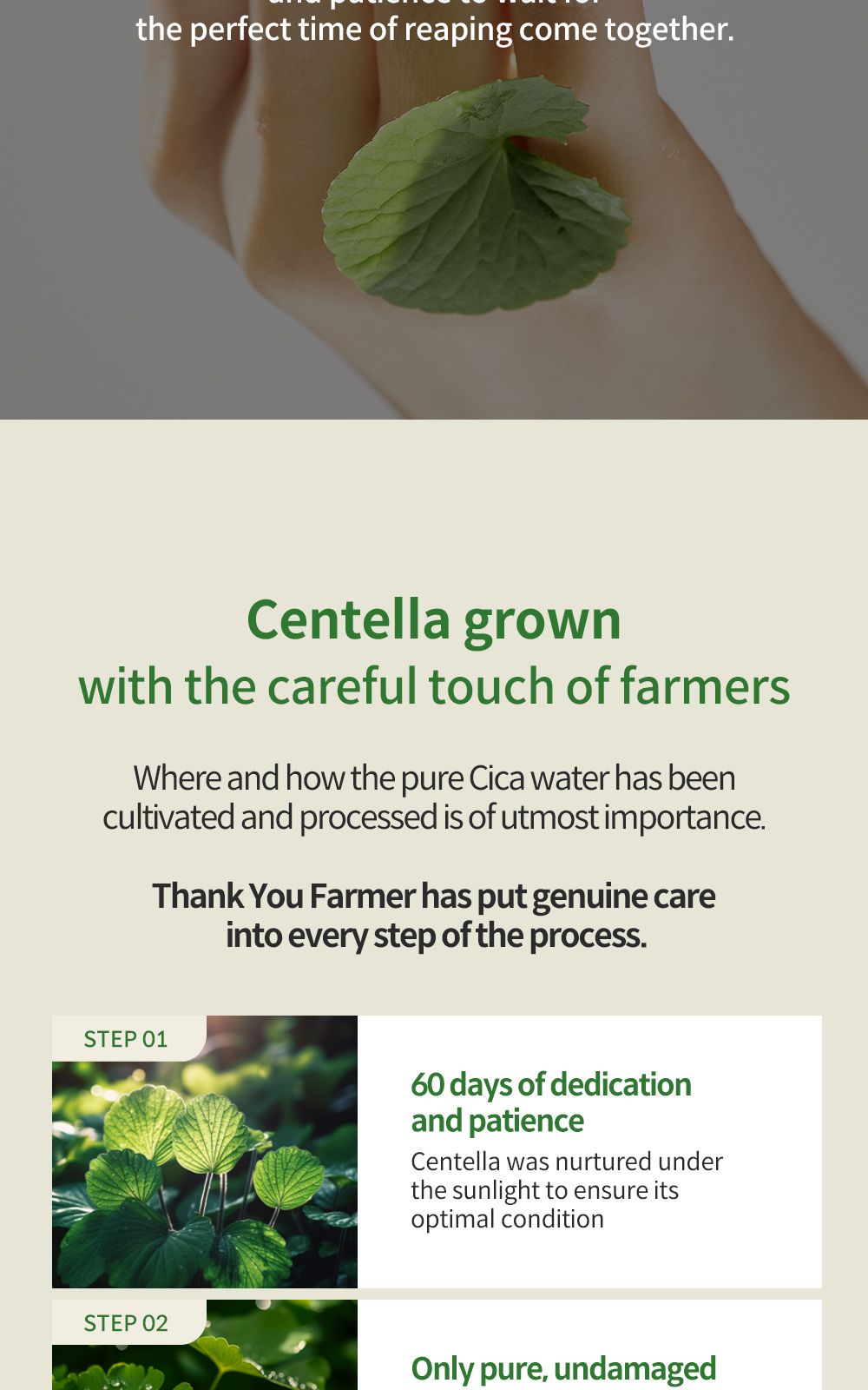 Phyto Relieful™ Cica Cream details, part 16