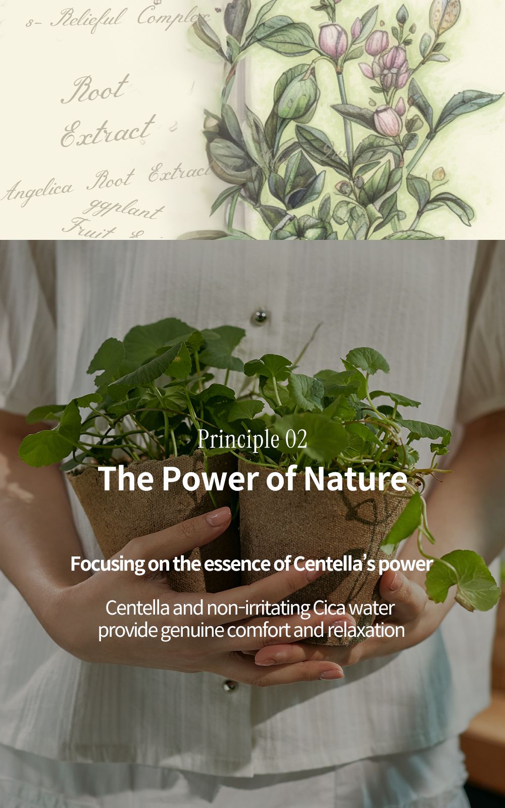 Phyto Relieful™ Cica Cream details, part 19