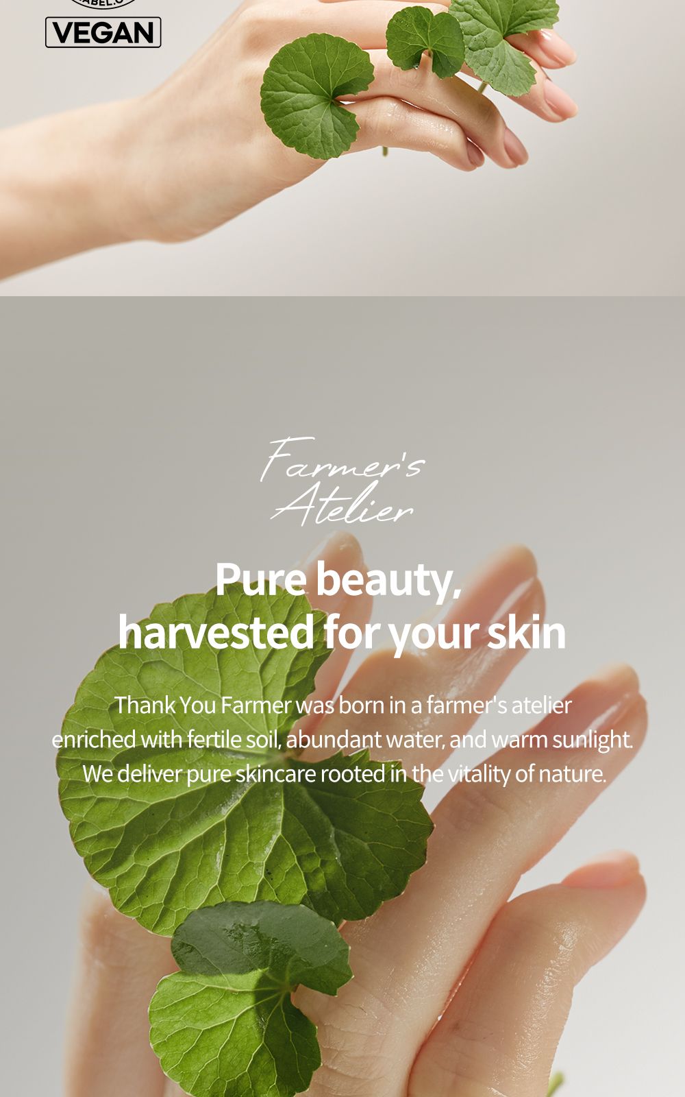 Phyto Relieful™ Cica Cream details, part 23
