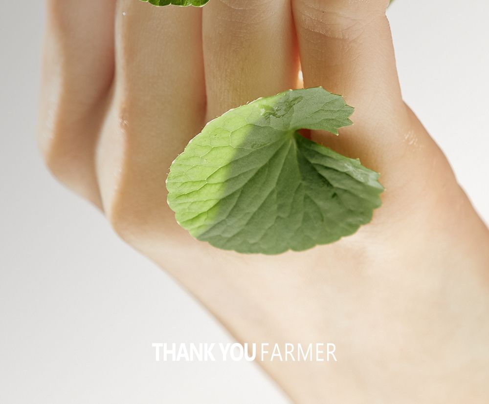 Phyto Relieful™ Cica Cream details, part 24