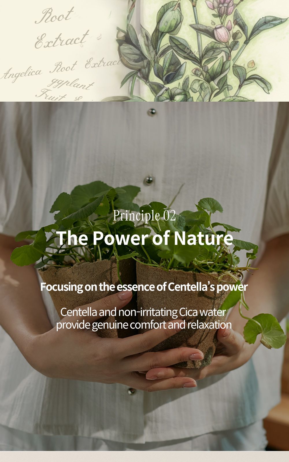 Phyto Relieful™ Cica Gel Cleanser details, part 19