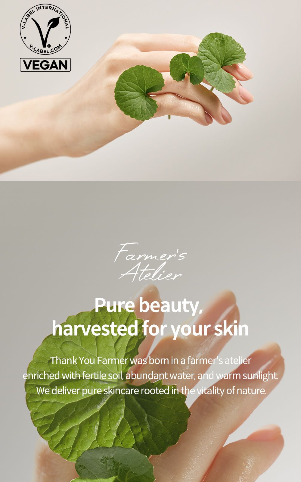 Phyto Relieful™ Cica Gel Cleanser details, part 23