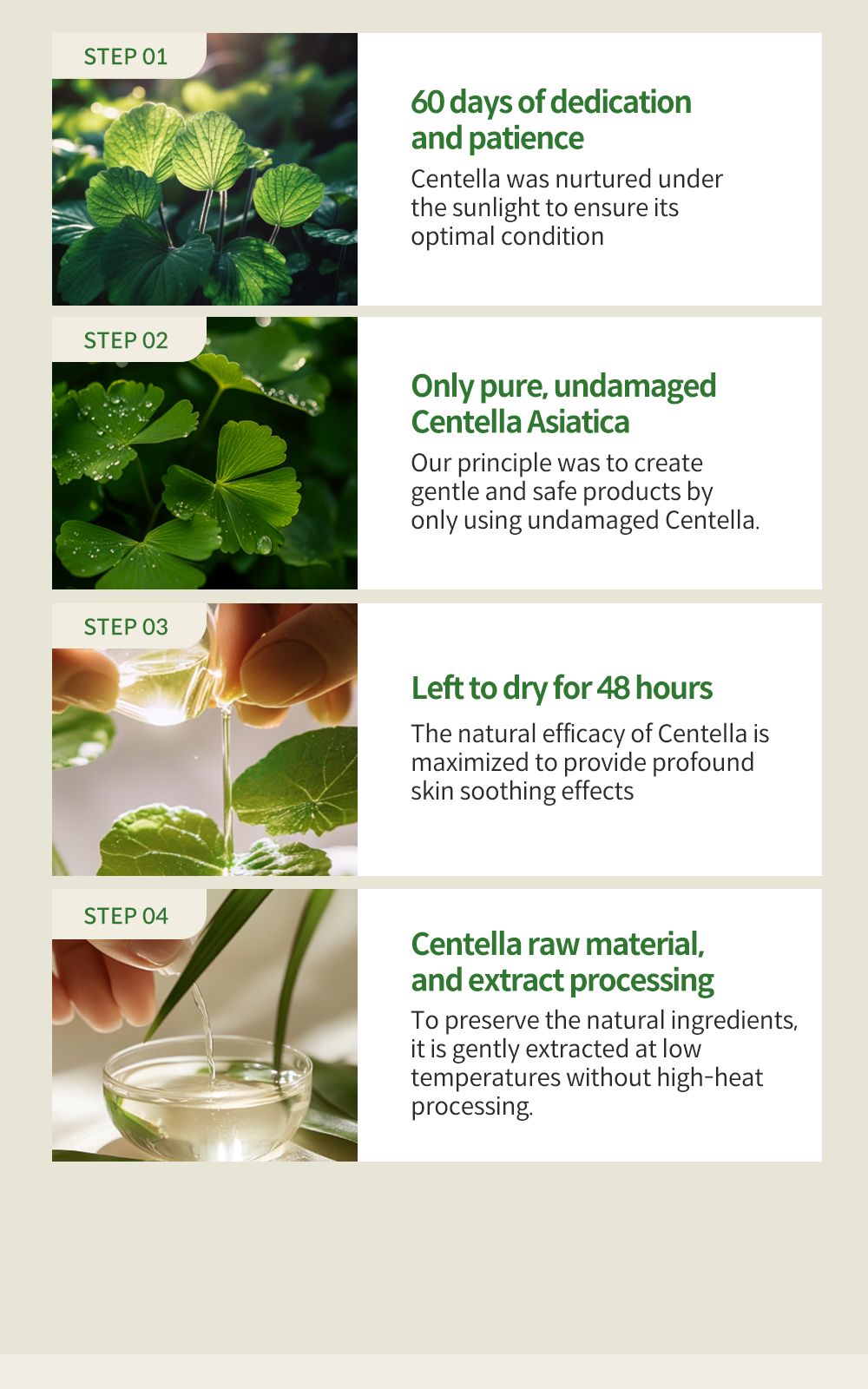 Phyto Relieful™ Cica Toner Pad details, part 17