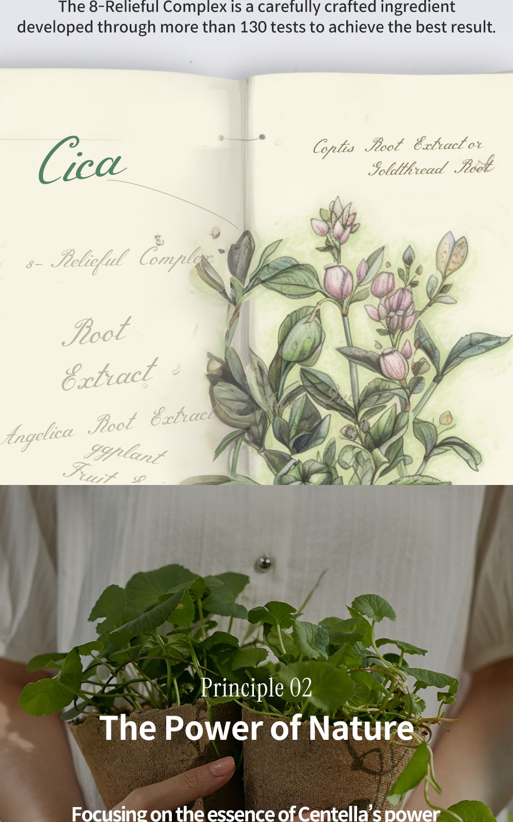 Phyto Relieful™ Cica Toner Pad details, part 19