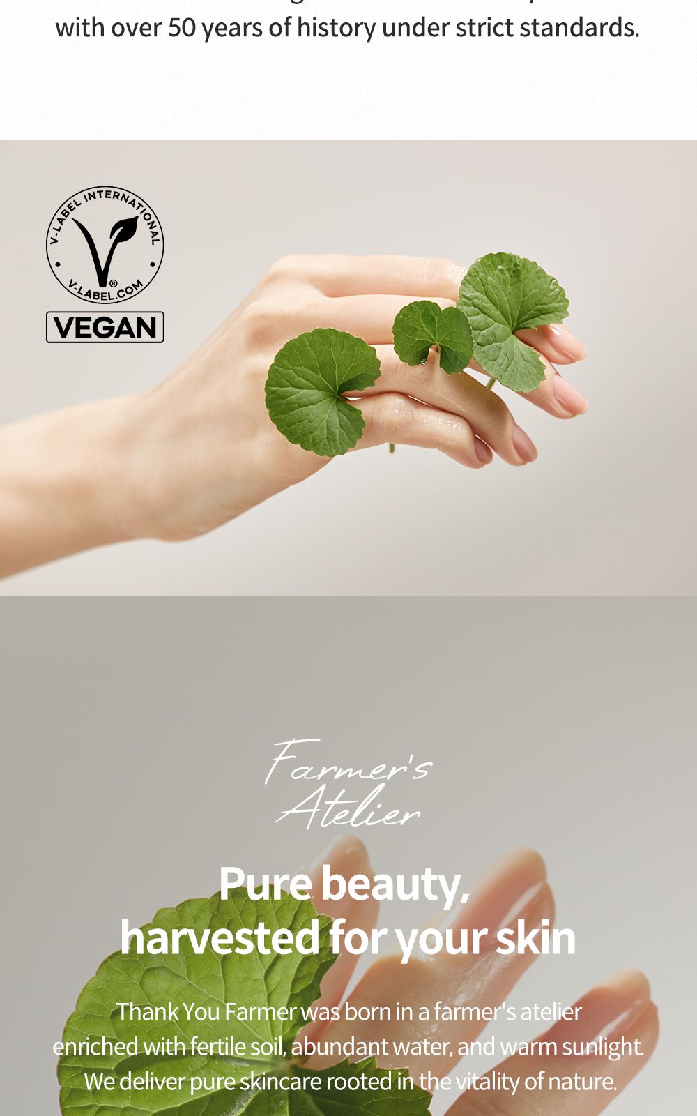 Phyto Relieful™ Cica Toner Pad details, part 23