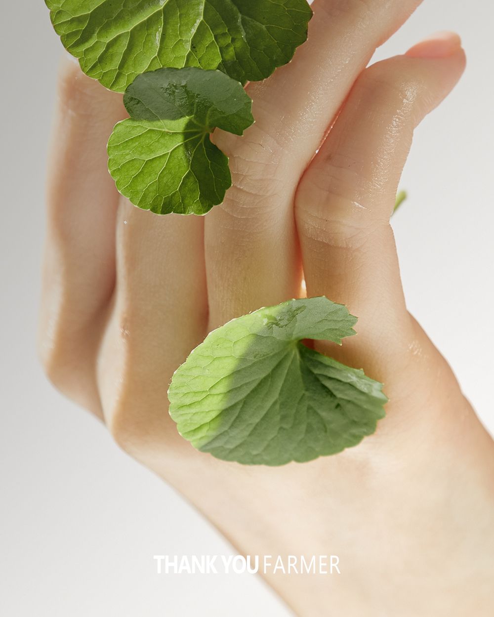 Phyto Relieful™ Cica Toner Pad details, part 24