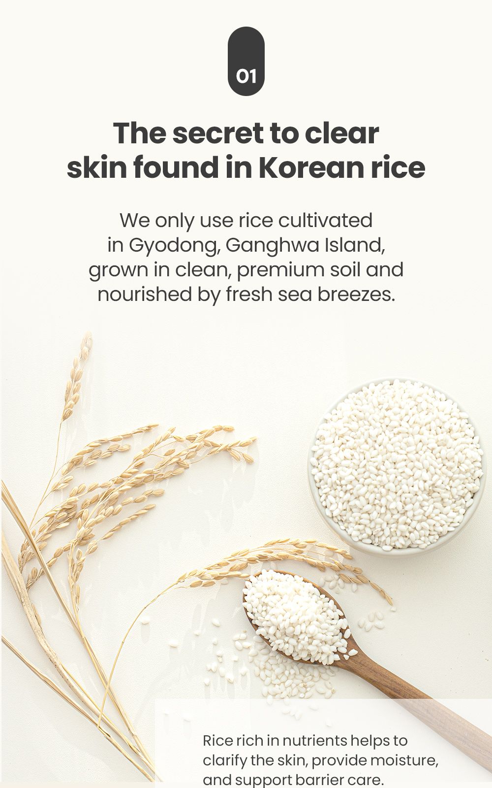 Rice Pure Barrier Capsule Cream details, part 4