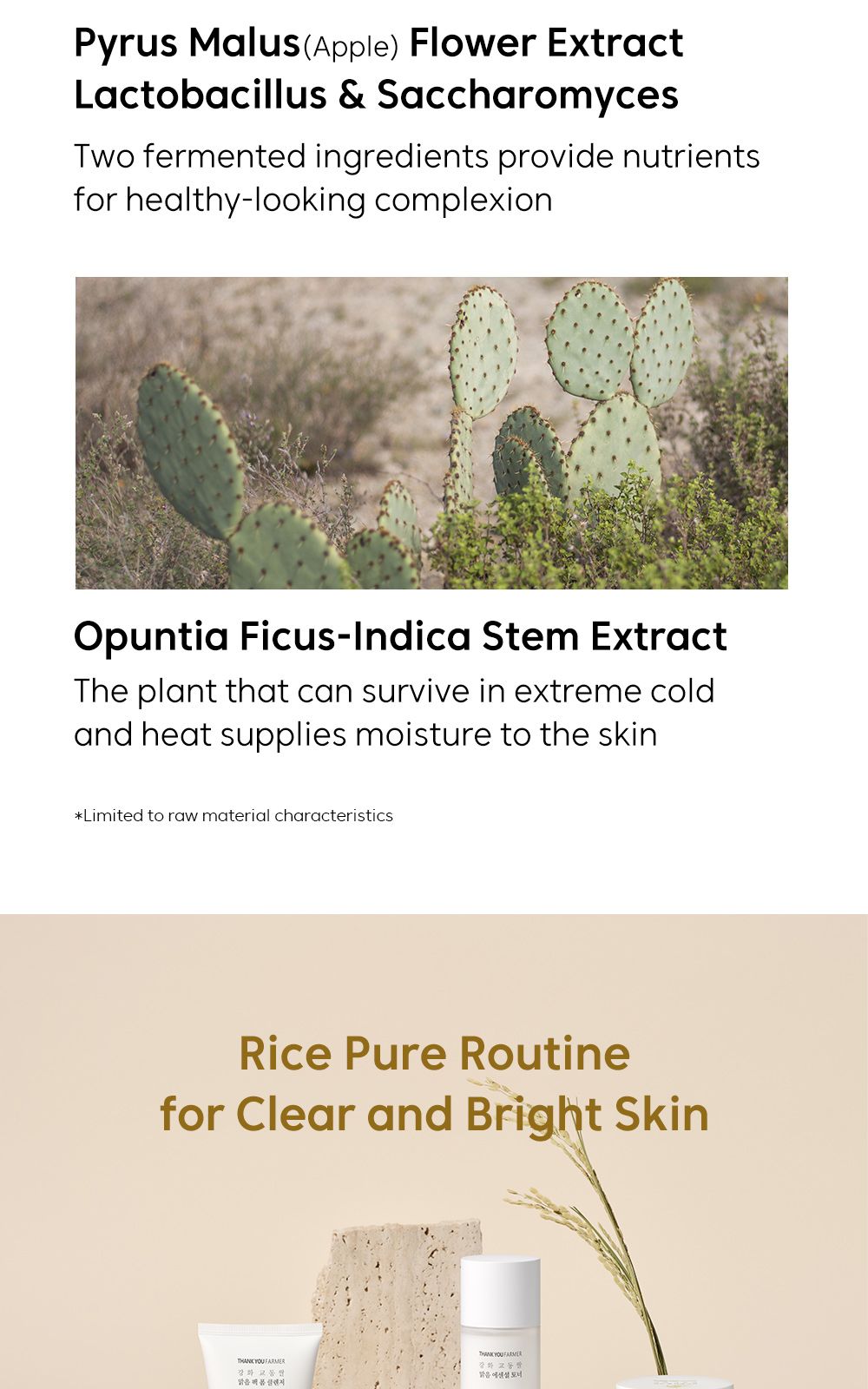 Rice Pure Cream In Ampoule details, part 12