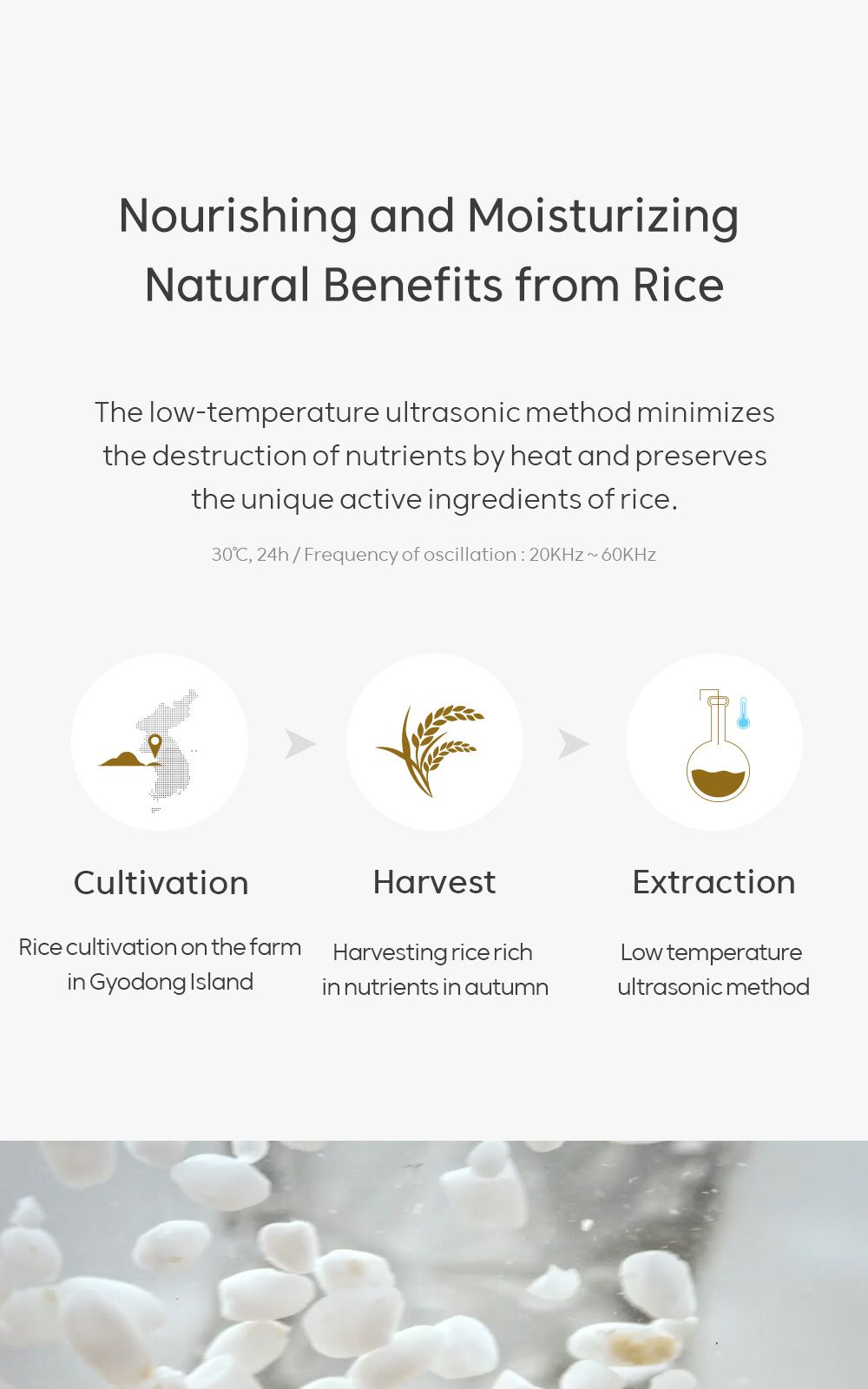 Rice Pure Gel and Cream details, part 12