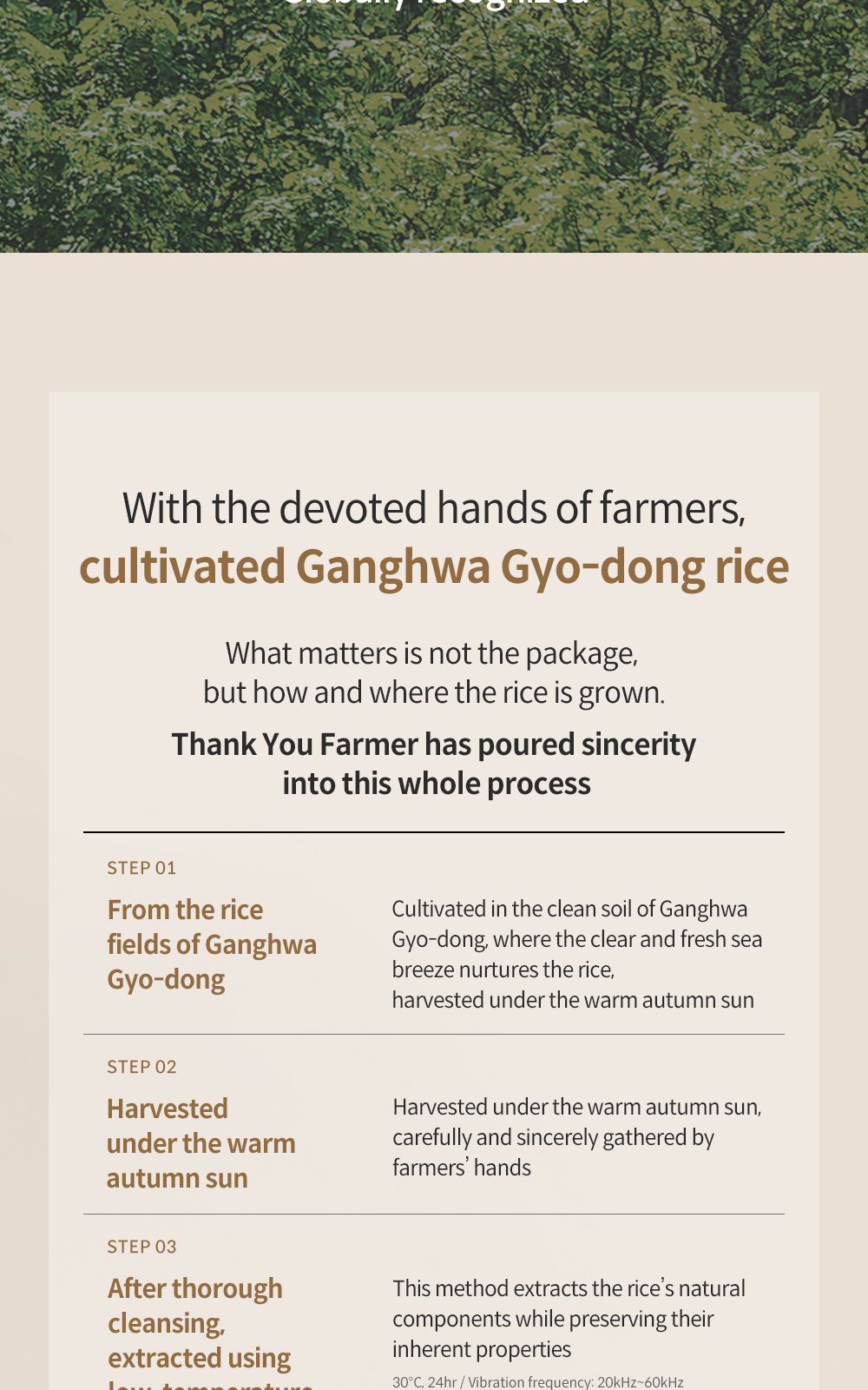 Rice Pure Glow Collagen Mask details, part 10