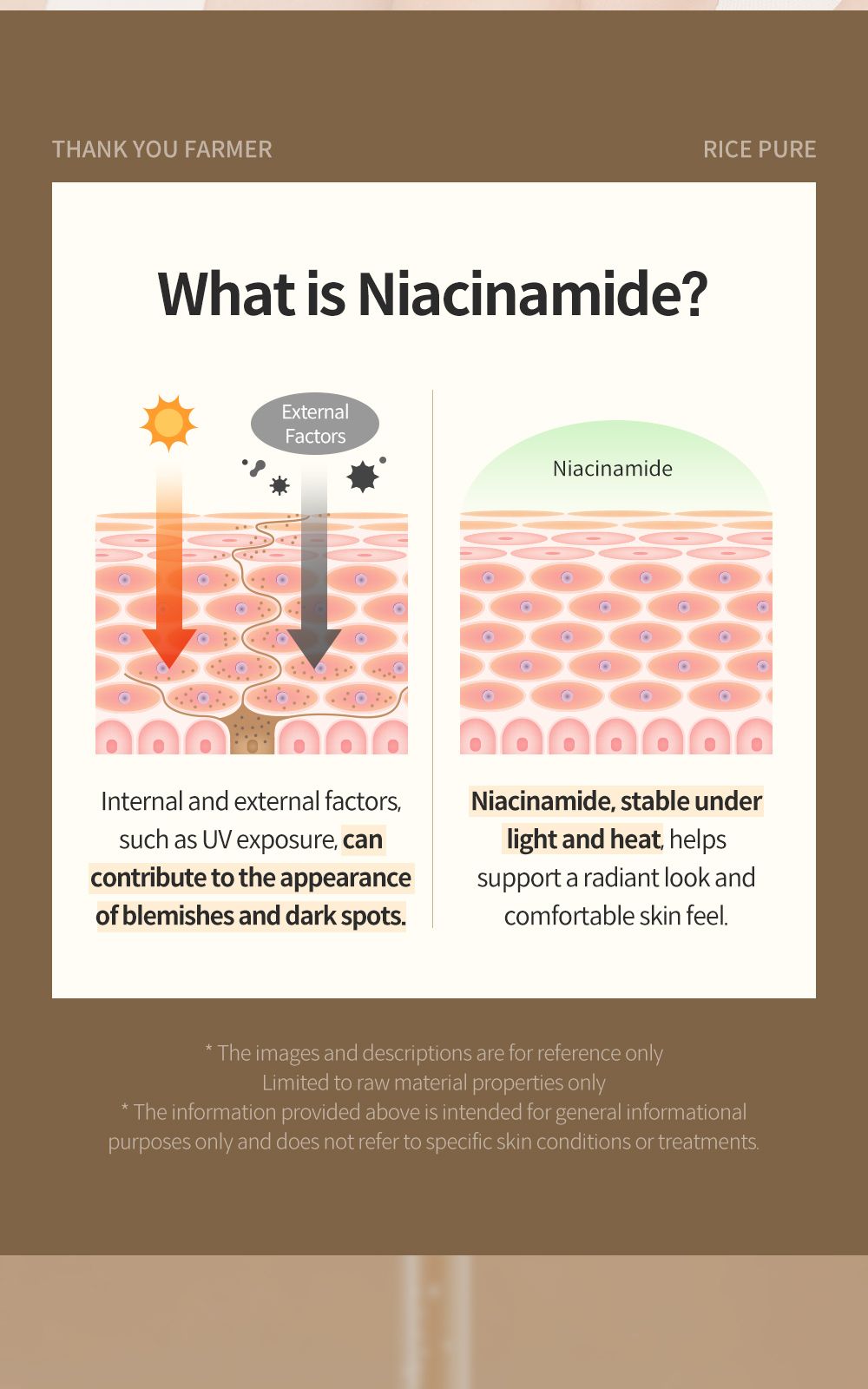 Rice Pure Niacinamide Capsule Serum details, part 4