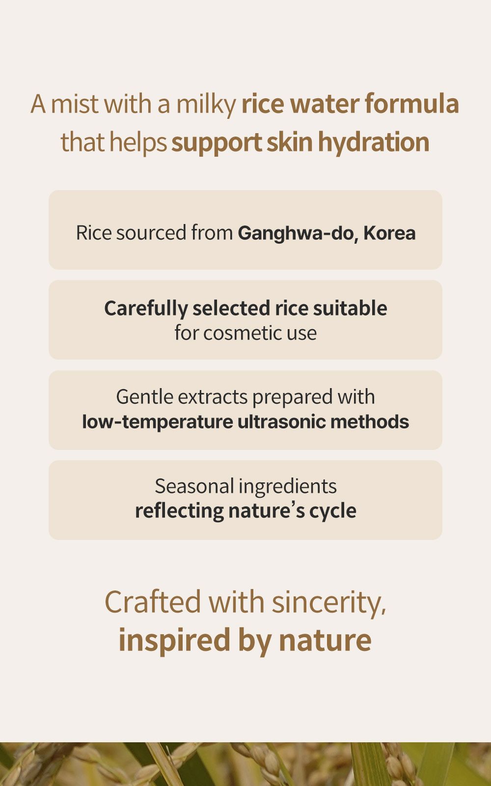 Rice Pure Watery Mist details, part 2