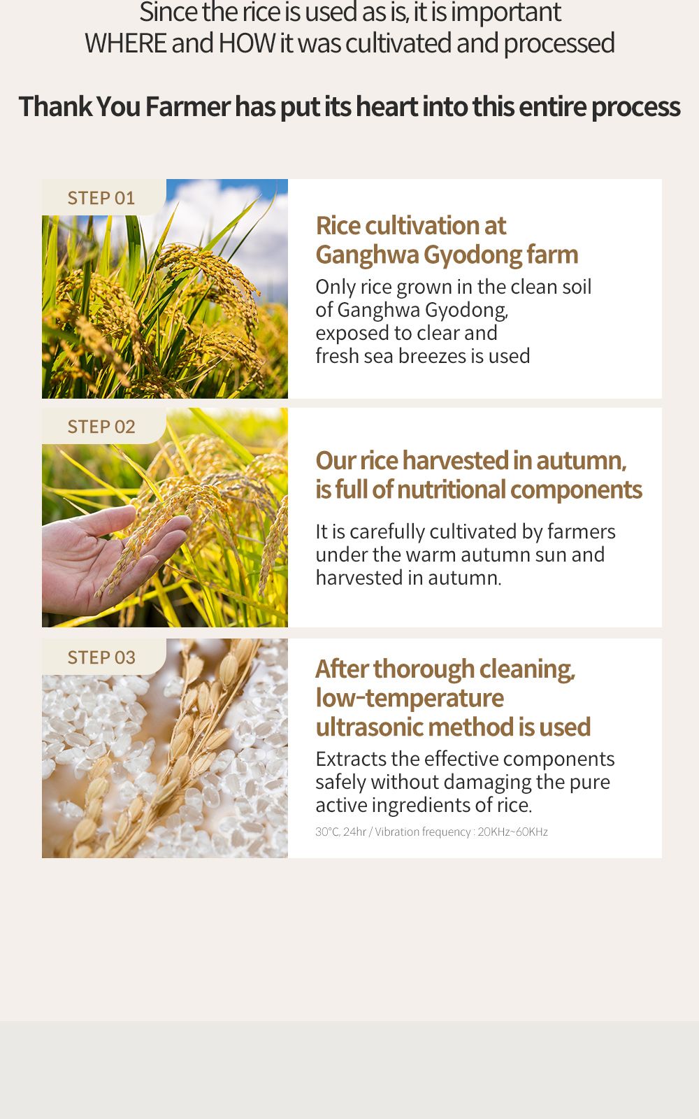 Rice Pure Watery Mist details, part 11