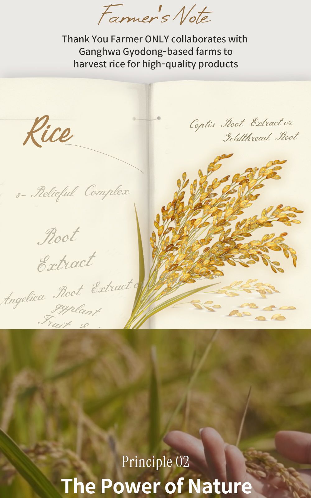 Rice Pure Watery Mist details, part 12